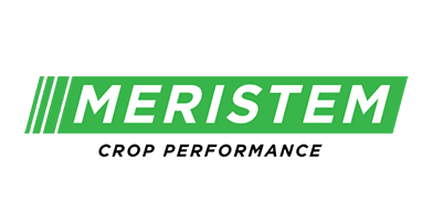 Meristem
